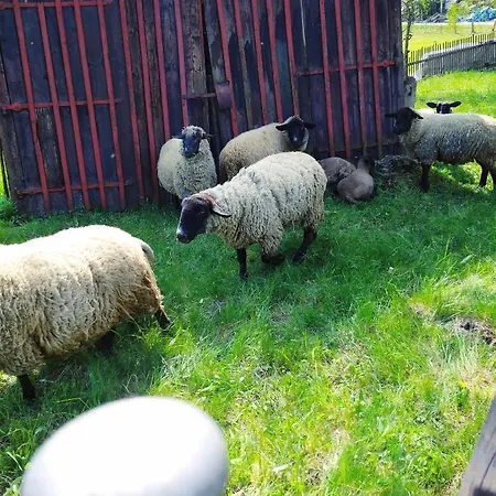 U Lucerny S Malou Farmičkou Penzion Kytlice