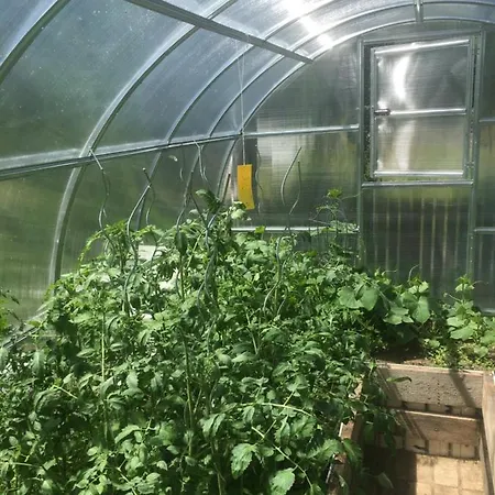 U Lucerny S Malou Farmickou Vendégház