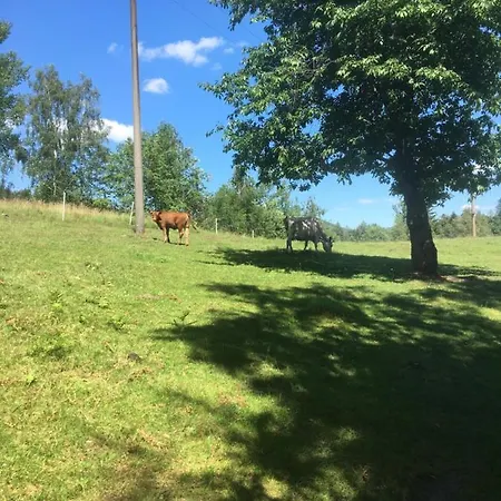 U Lucerny S Malou Farmičkou Penzion Kytlice