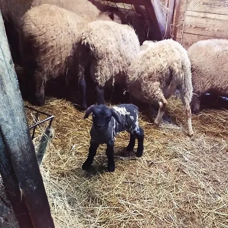 U Lucerny S Malou Farmickou Kytlice